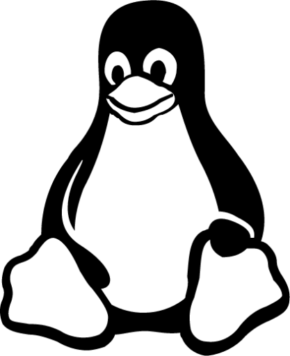 language informatique - linux